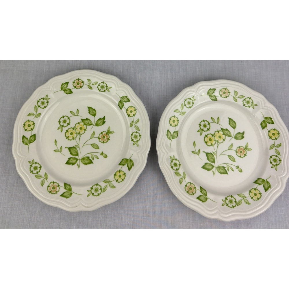 2- Petite Flora Ironstone Dessert Plate Dish 6" Floral Japan Oven Proof VTG Lot